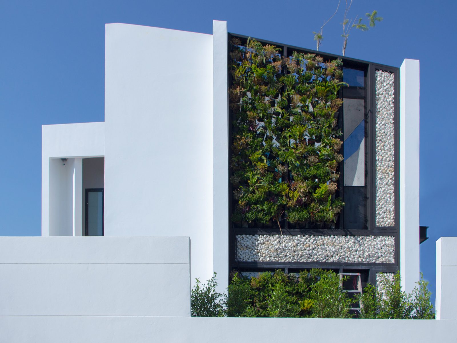 House No.40 — 1