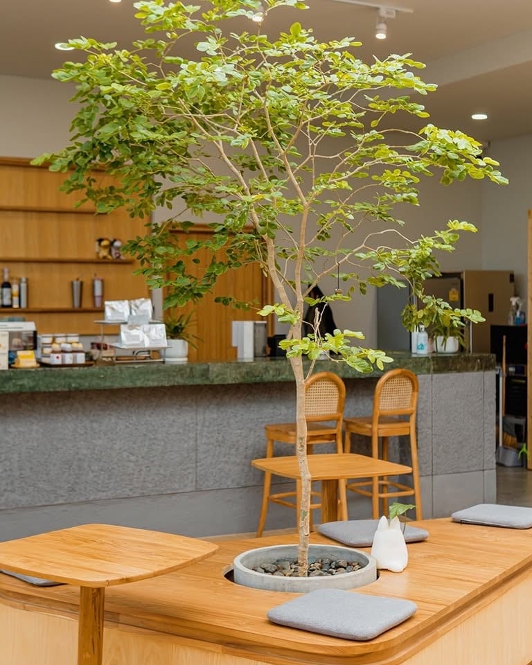 tHEOUrs Cafe — 4